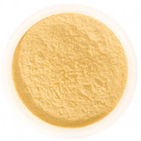 Mango Spray Dried Powder